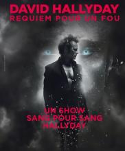 DAVID HALLYDAY
